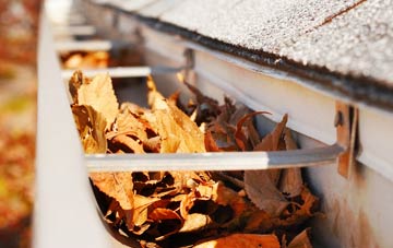 Spriddlestone gutter cleaning companies