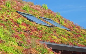 Spriddlestone living roof systems