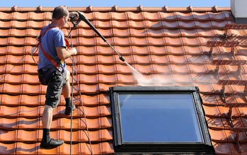 roof cleaning Spriddlestone, Devon