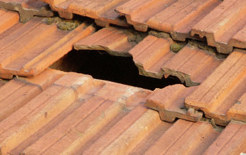 roof repair Spriddlestone, Devon